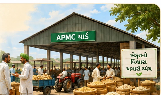 ગુજરાત કૃષિ APMC માર્કેટ યાર્ડ